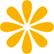 Ol Flowers