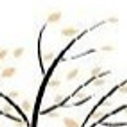 Condons Funeral Directors Ltd
