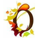 Carrigaline Organic Hair Studio