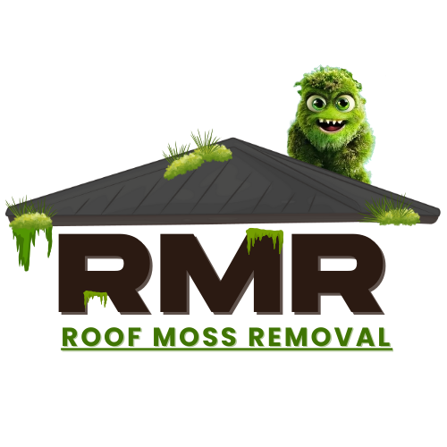 Rmr roof moss removal