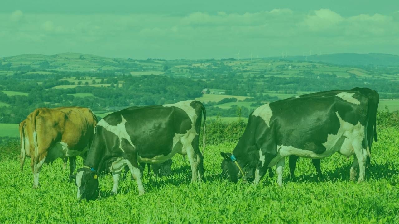 Farm Zero C