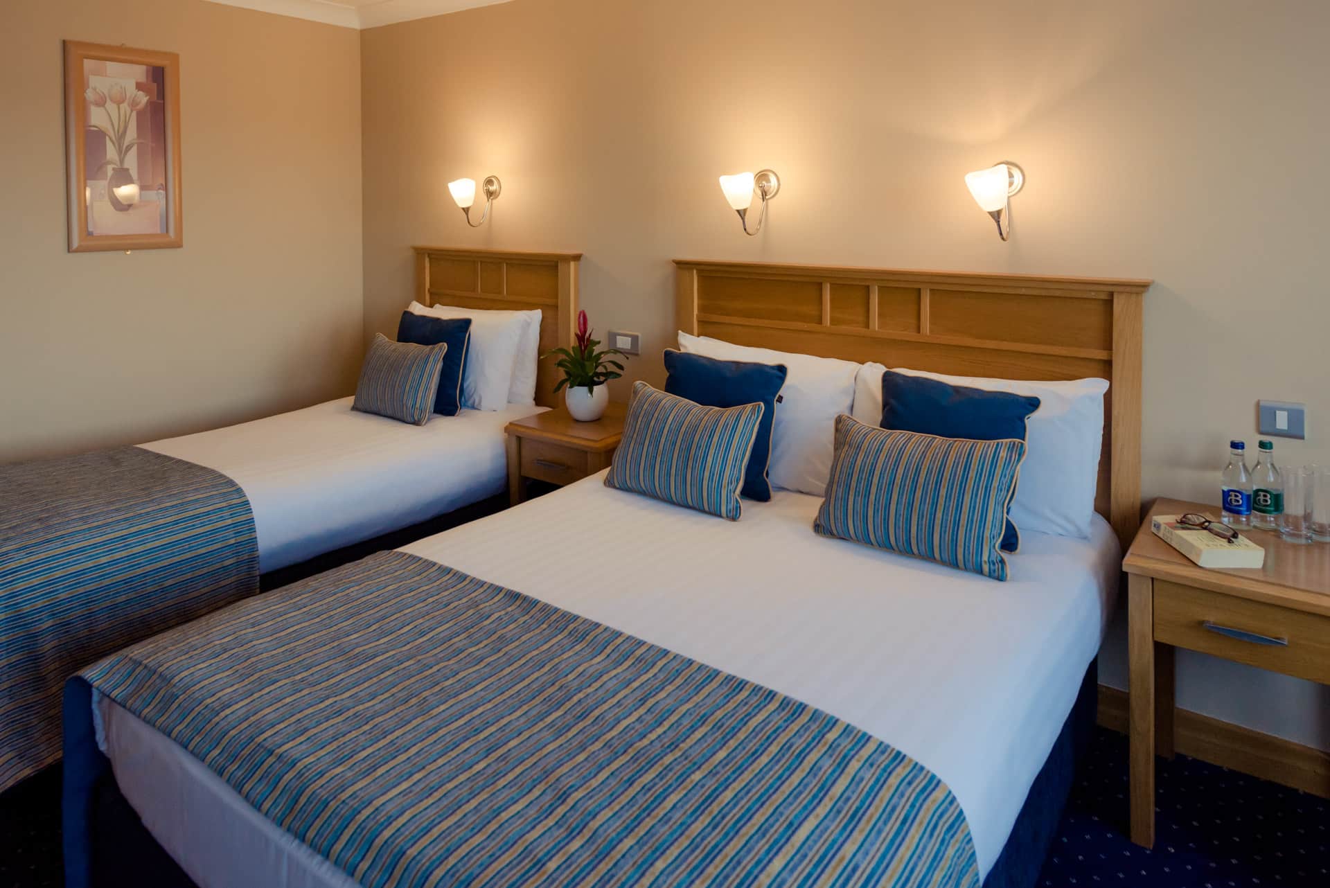 Rochestown Lodge Hotel