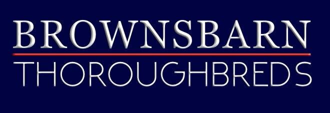 Brownsbarn Thoroughbreds