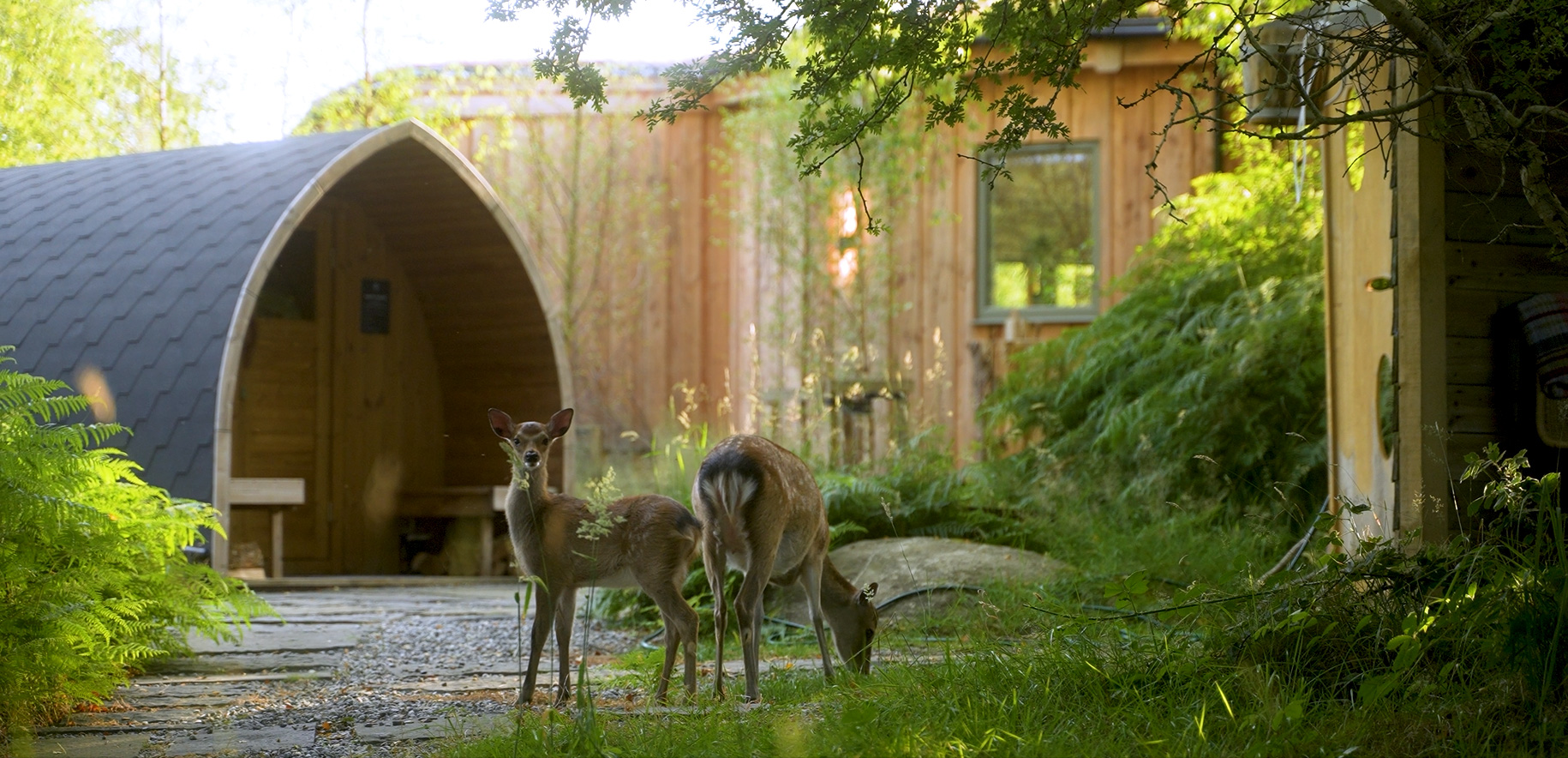 The Deerstone Eco Hideaway