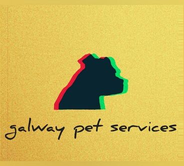 Galway Pet Services Dog Kennels and Dog Grooming