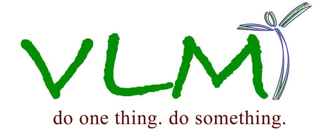 Vincentian Lay Missionaries (VLM)