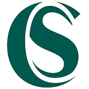 Stakelum Consultancy