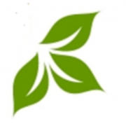 Hogan landscaping