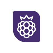 Blackberry Hearing - Tralee