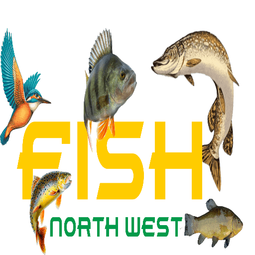 Fish North West