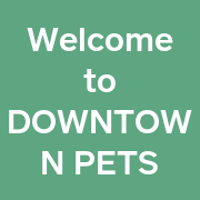 Downtown Pets