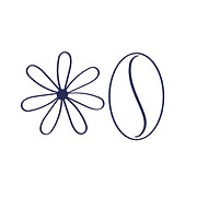 Flower & Bean