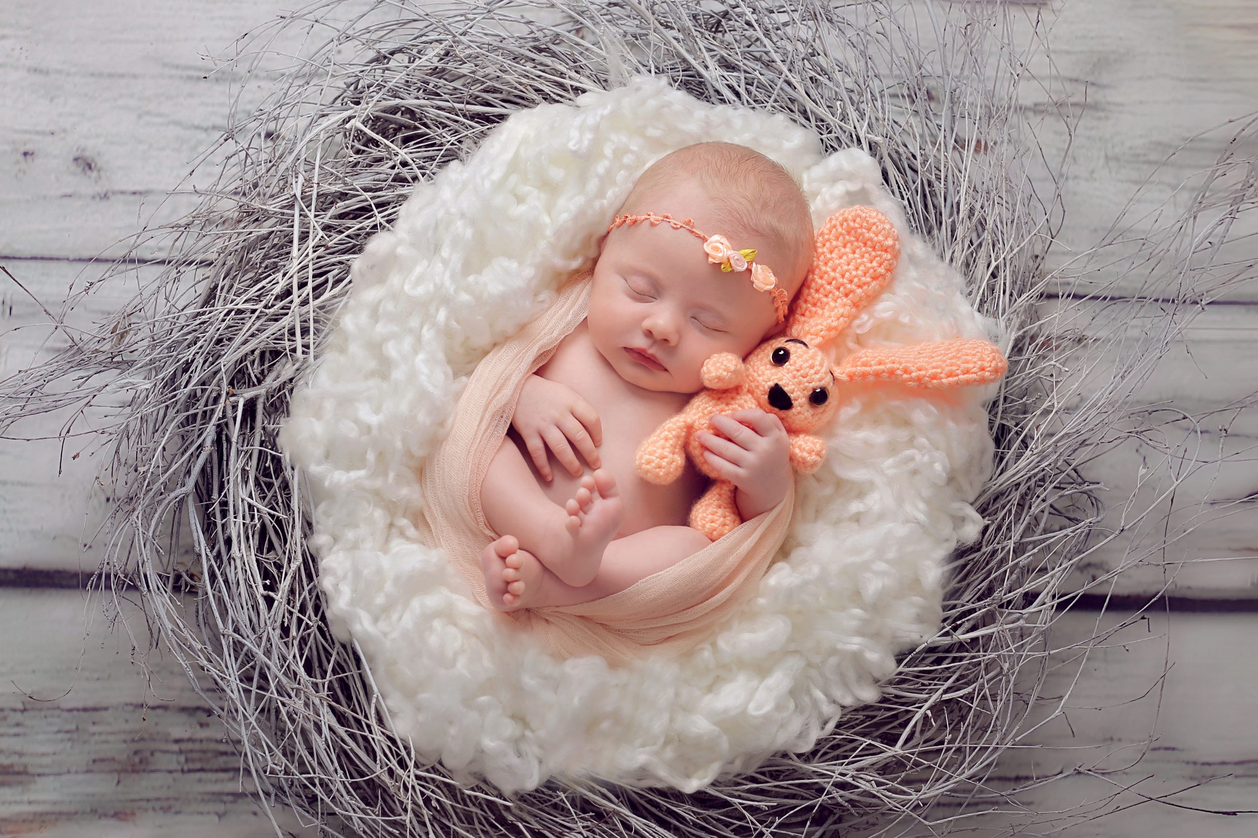 Dynasty Photography