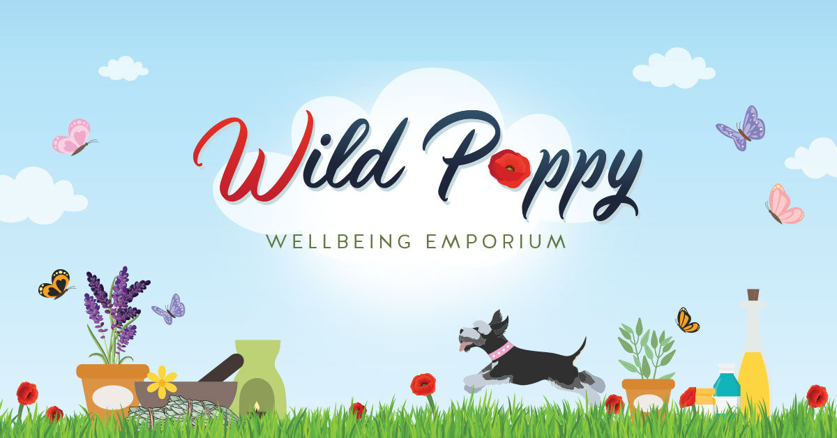 Wild Poppy