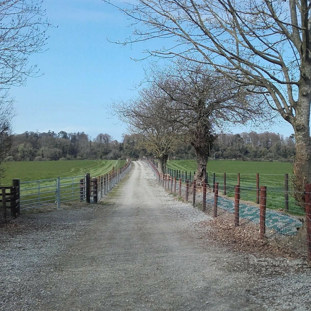 Willie Smyth Fencing