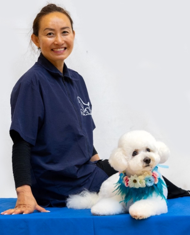 Walkies Retreat Dog Spa