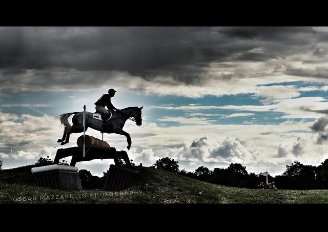 Grange Equine Veterinary Clinic