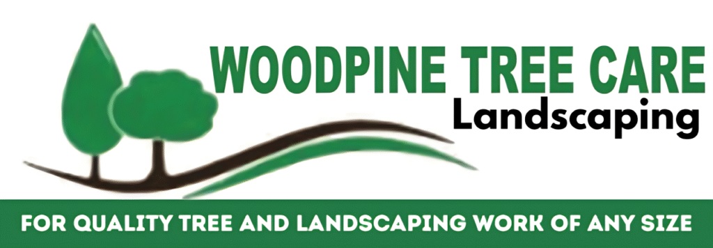 Woodpine tree care & landscaping
