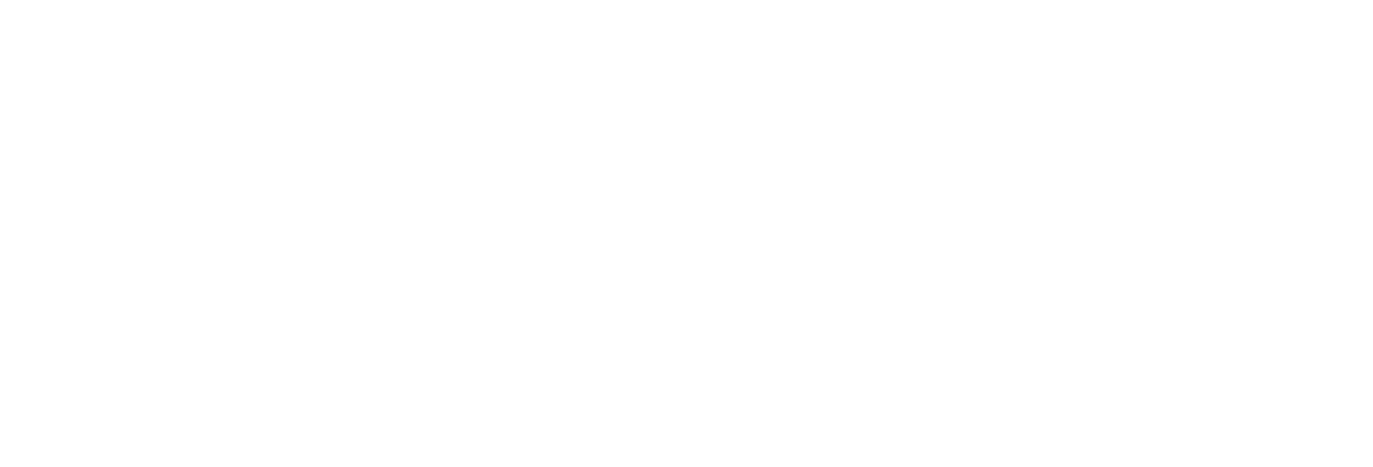 The Viking Theatre