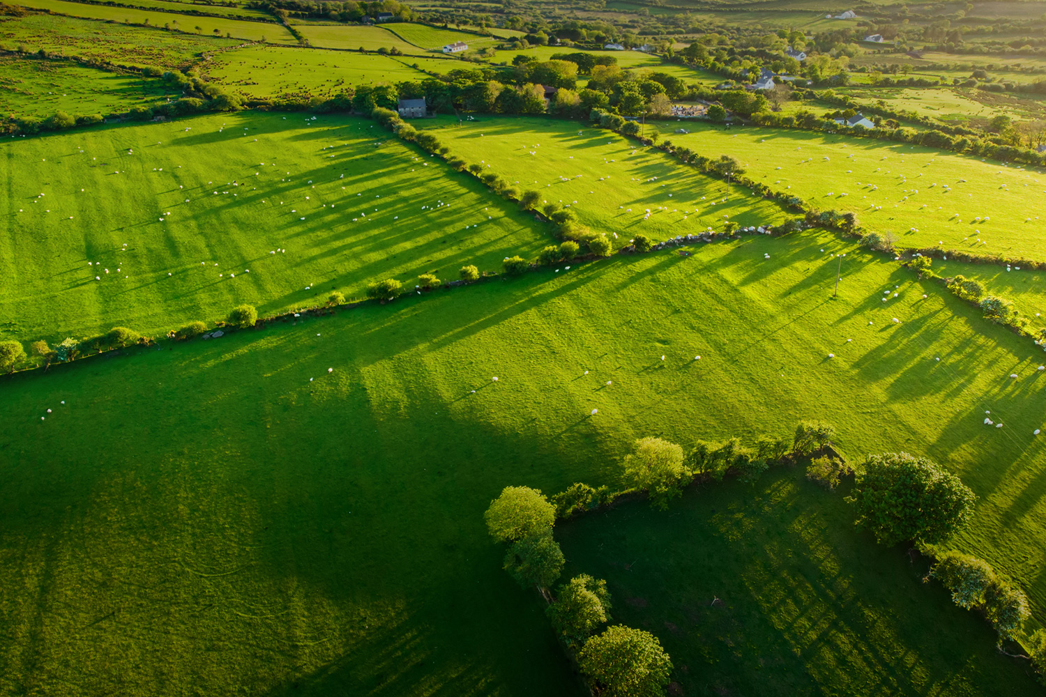 The Ireland Funds