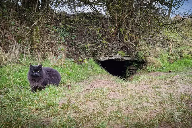Oweynagat Cave - Uaimh na gCat