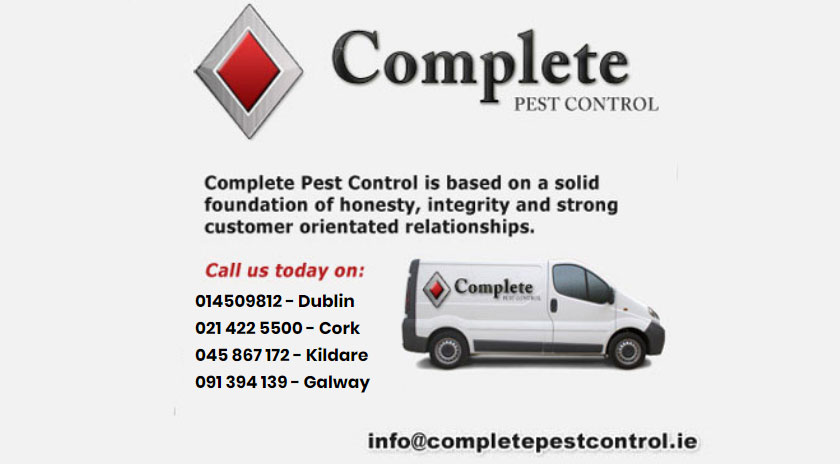 Complete Pest Control Dublin