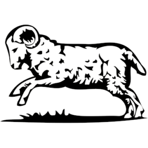 Comeragh Mountain Lamb