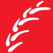 J H Fitzpatrick Limited