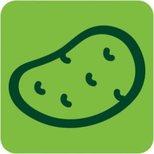 K&K Produce