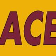 Ace Motor Factors