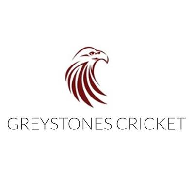 Greystones Cricket