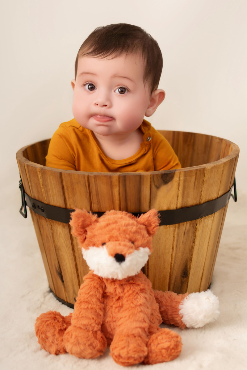 Fox Photo