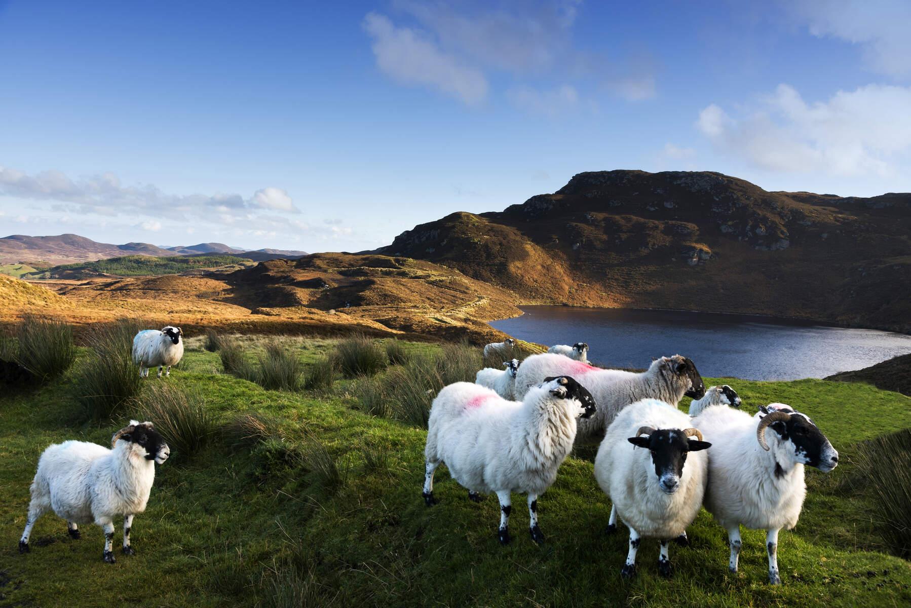 Donegal Tour Guide, Private Tours of Ireland