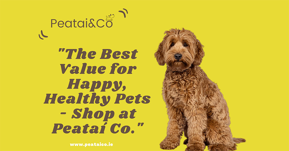 PeataiCo-Mullingar Pet Shop