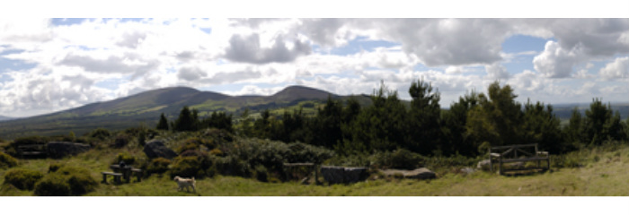 Carrigmaclear Battlefield Monument 1798