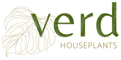 Verd Houseplants - Cork City Centre