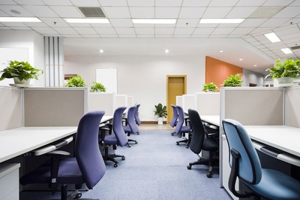 Green Leaf Services