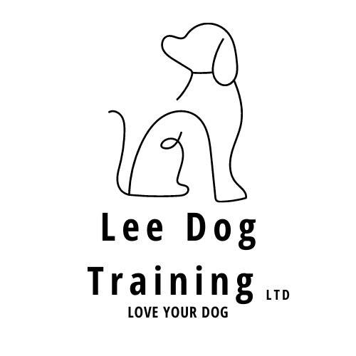 Lee Dog DayCare, Dog Training and Dog Grooming