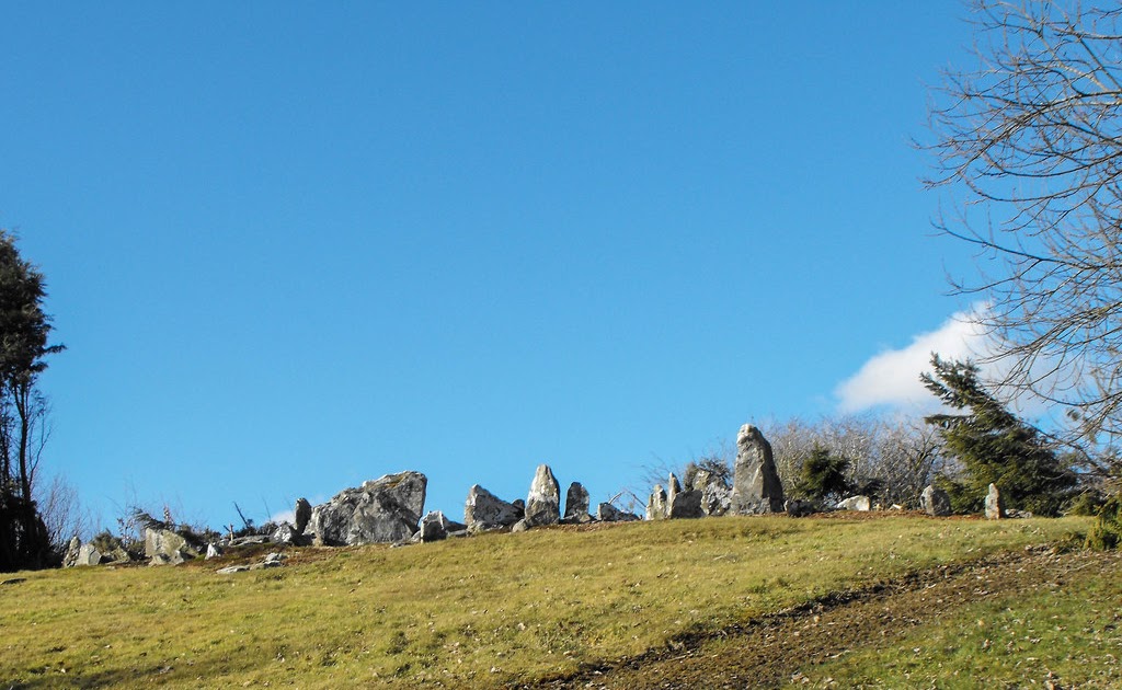 Shanballyedmond Megalithic Tomb
