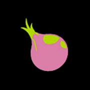 Shallots