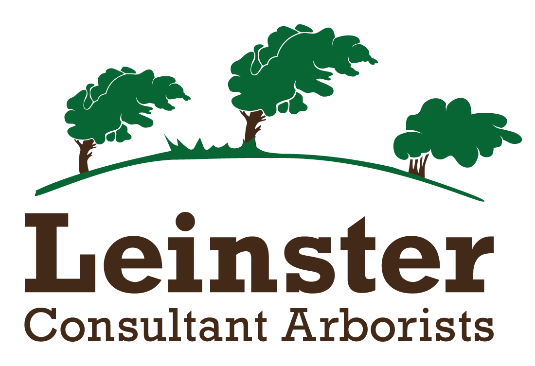Leinster Tree Service