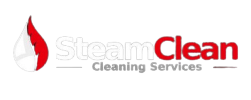 SteamClean Cleaning Services