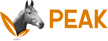 Peak Horse