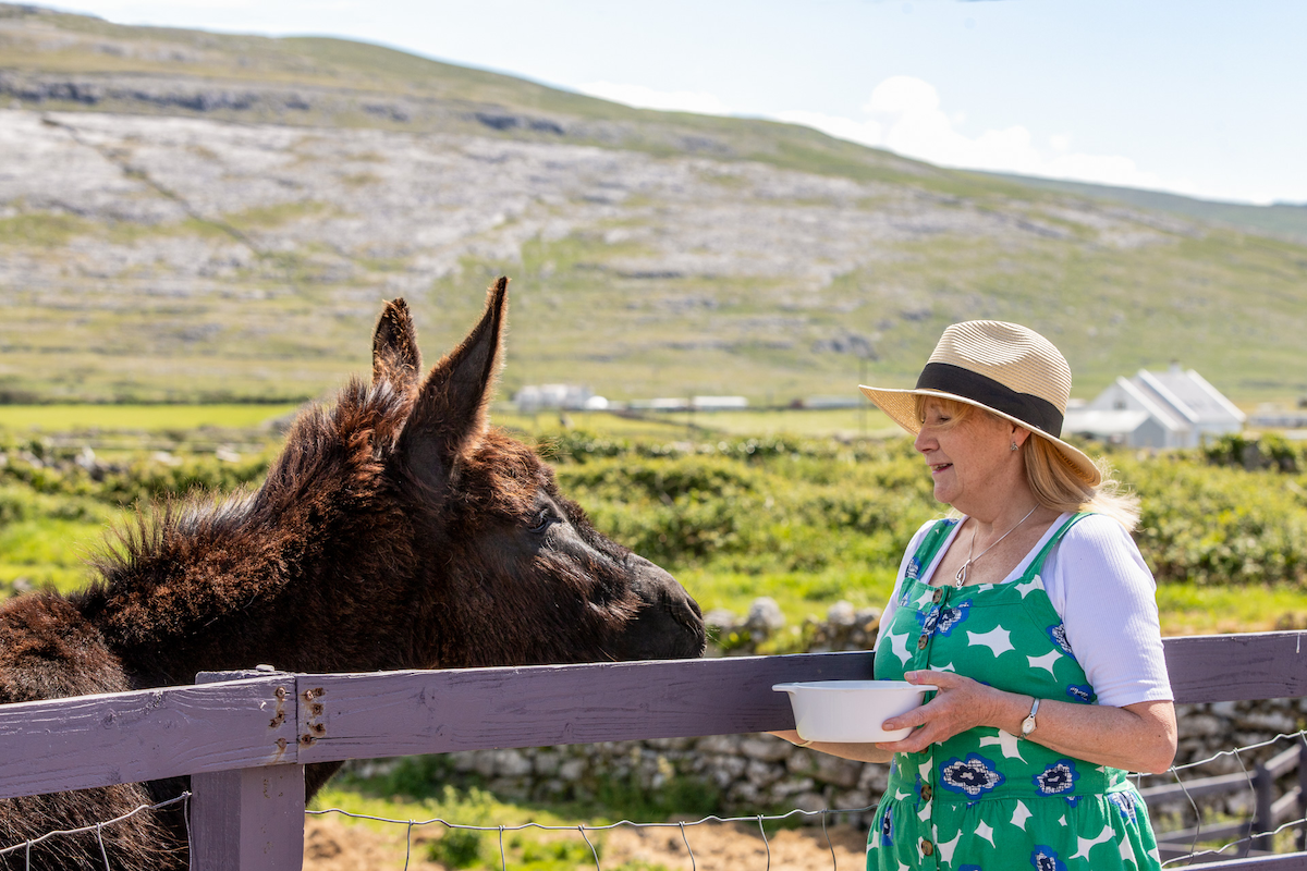 Into The Burren - Accommodation and Tours - Book here and Save up to 10%