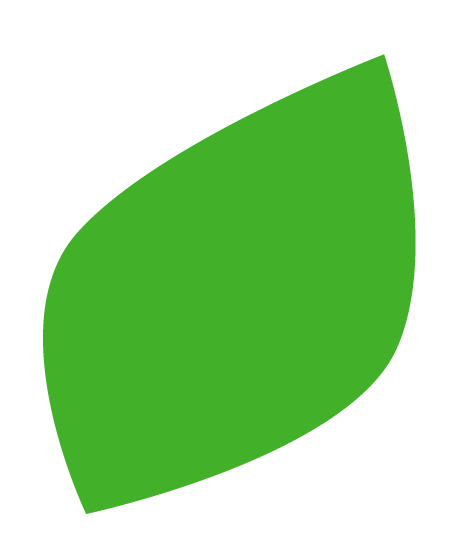 St. Bernard's Children's Services