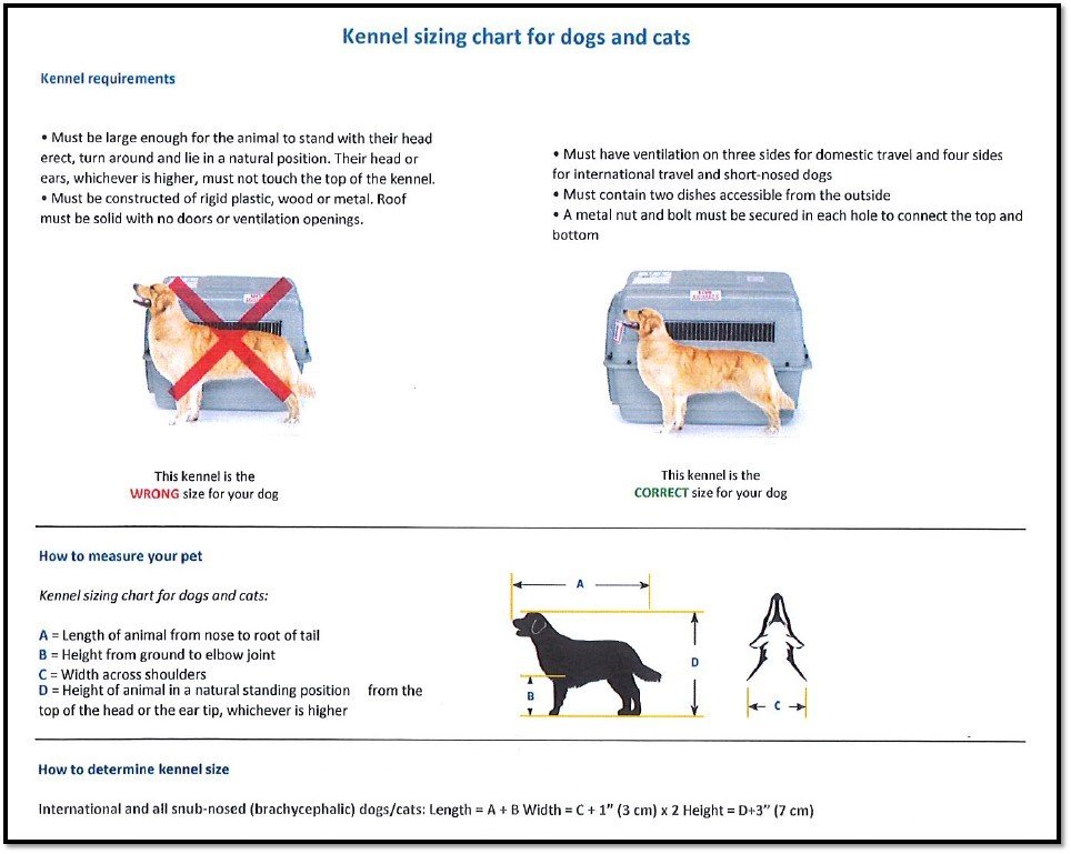 Pet Express Transport Services (PETS)
