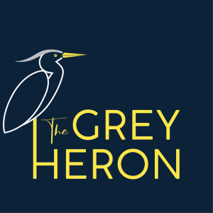 The GREY HERON
