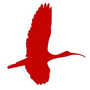 Ibis Construction
