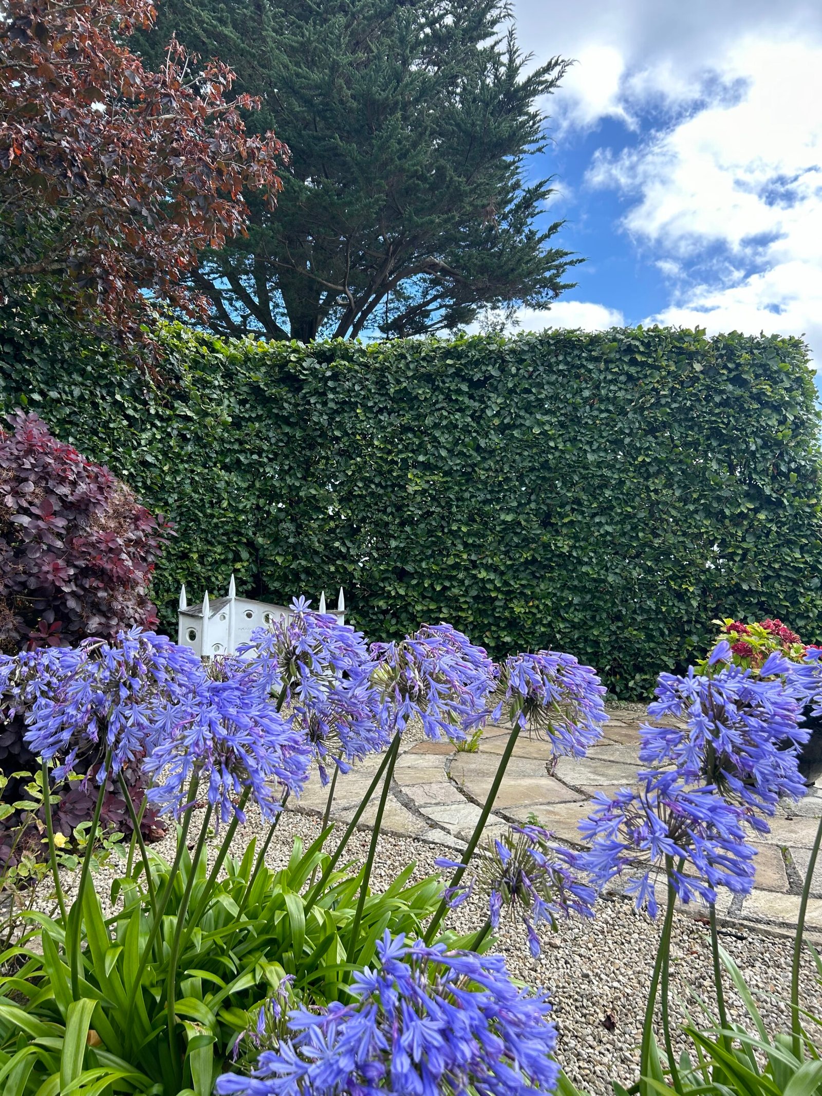 Hedge Cutting Galway