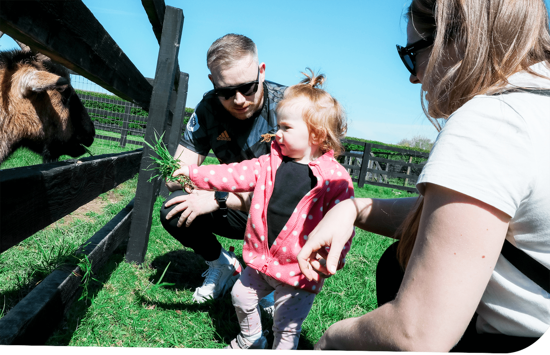 Caragh Open Farm
